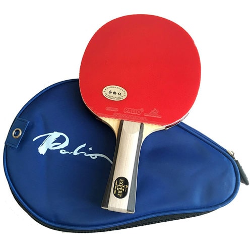 top 10 table tennis rackets in the world
