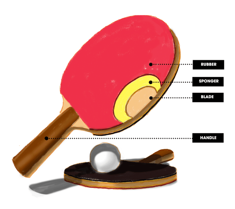Best Ping Pong Paddle in 2023: Top 10 Reviews for Your Game